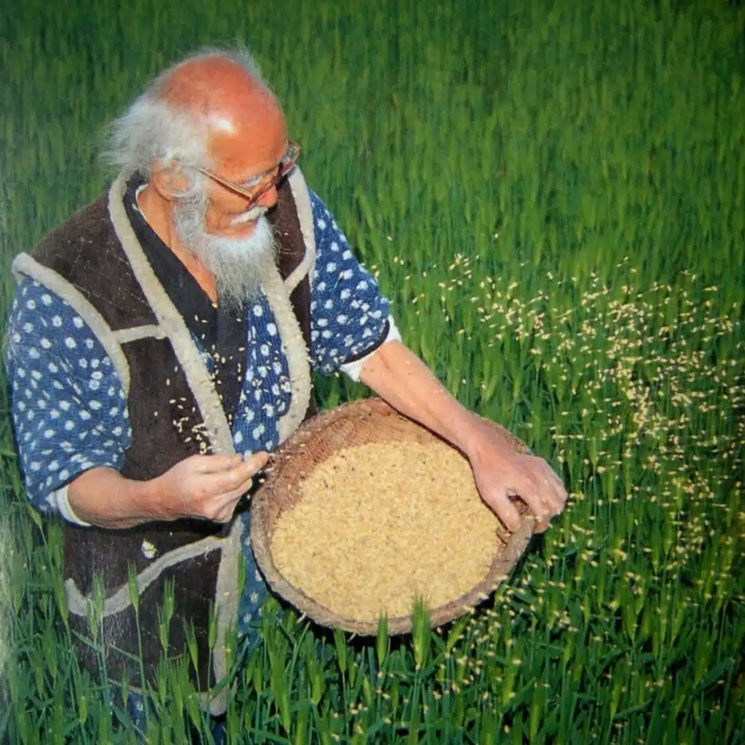 Masanobu Fukuoka