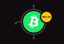 BRC-20 token standardı, Bitcoin blok zinciri, Ordinals protokolü ve fungible token.