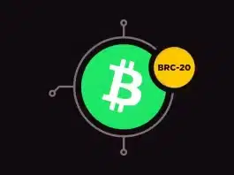 BRC-20 token standardı, Bitcoin blok zinciri, Ordinals protokolü ve fungible token.