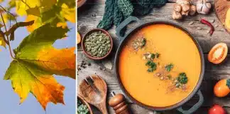 Sonbahar hastalıkları için bağışıklık güçlendirme yöntemleri, sağlıklı ve dengeli beslenme önerileri ile bağırsak mikrobiyotası arasındaki ilişki.