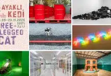 18. İstanbul Bienali: Üç Ayaklı Kedi 18. İstanbul Bienali: "Üç Ayaklı Kedi" teması, mekan-eser ilişkisi ve Kongkee'nin Ejderhanın Sanrısı eseri.