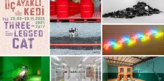 18. İstanbul Bienali: "Üç Ayaklı Kedi" teması, mekan-eser ilişkisi ve Kongkee'nin Ejderhanın Sanrısı eseri.