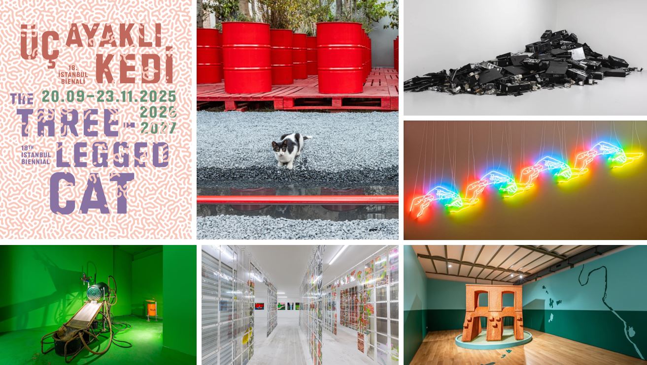 18. İstanbul Bienali: "Üç Ayaklı Kedi" teması, mekan-eser ilişkisi ve Kongkee'nin Ejderhanın Sanrısı eseri.