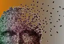 Basit unutkanlık ile Alzheimer farkı: Erken teşhis için beyin sağlığı ve demans ile Alzheimer belirtileri.