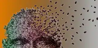 Basit unutkanlık ile Alzheimer farkı: Erken teşhis için beyin sağlığı ve demans ile Alzheimer belirtileri.