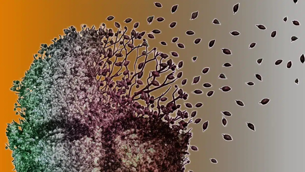 Basit unutkanlık ile Alzheimer farkı: Erken teşhis için beyin sağlığı ve demans ile Alzheimer belirtileri.