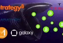 Bitcoin balinaları
