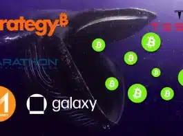 Bitcoin balinaları