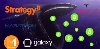 Bitcoin balinaları