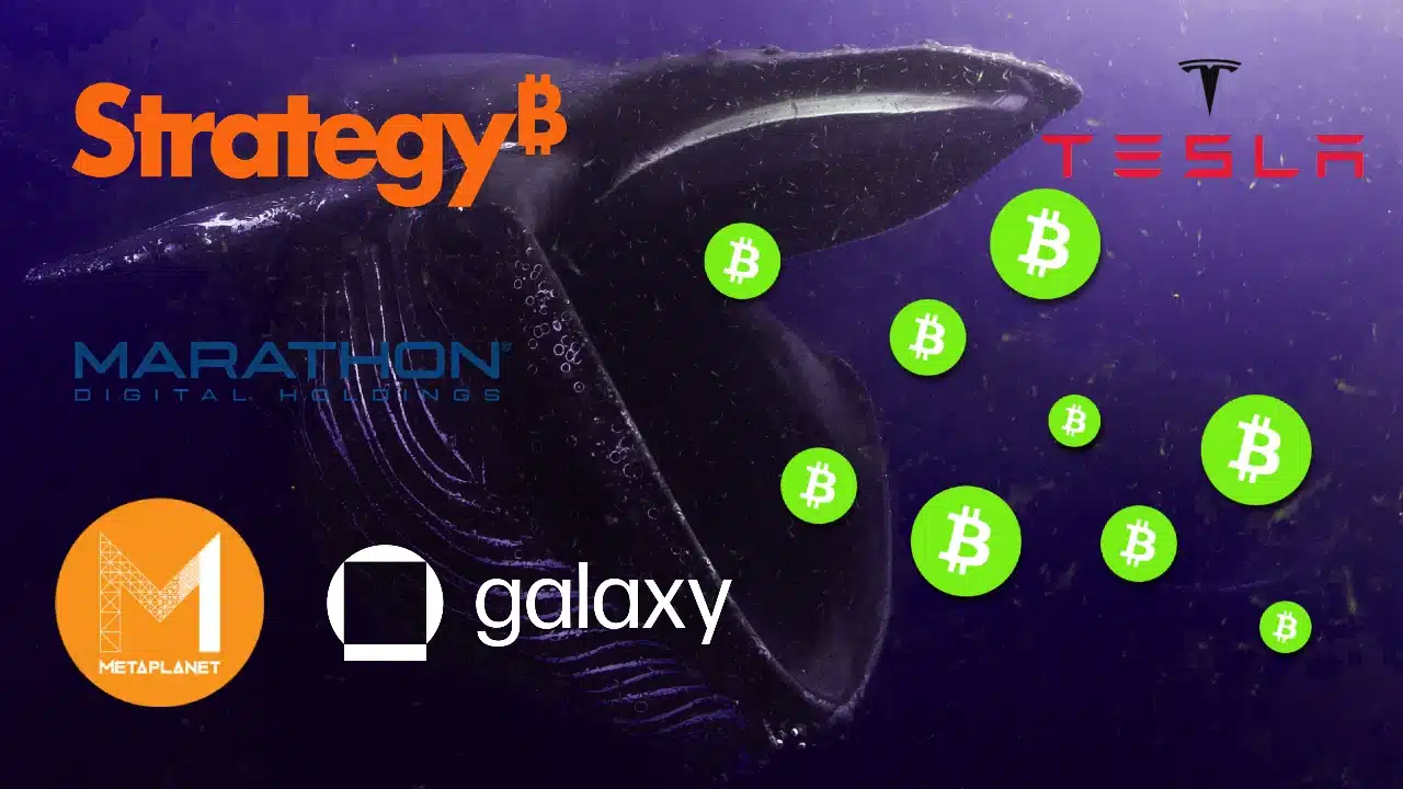 Bitcoin balinaları ve kurumsal Bitcoin sahiplerinin uyguladığı kurumsal hazine stratejisi ile hisse senedi piyasaları.