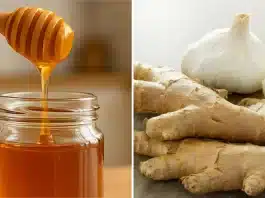 Grip ve soğuk algınlığı için bağışıklık güçlendiren tarif: Sarımsak, zencefil ve bal ile hazırlanan doğal antibiyotik kürü.