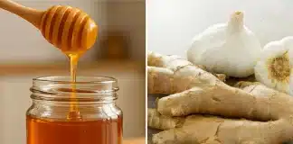 Grip ve soğuk algınlığı için bağışıklık güçlendiren tarif: Sarımsak, zencefil ve bal ile hazırlanan doğal antibiyotik kürü.
