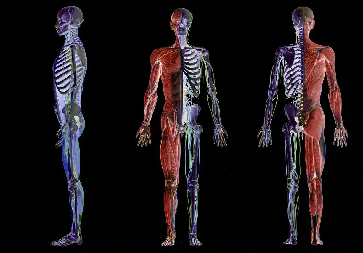 Kırıklardan korunma: Düşme riski ve osteoporoz gibi sorunlara karşı denge egzersizleri ile kemik sağlığını koruma.