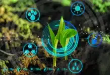 Sürdürülebilirliğin yarattığı belgelendirme ekonomisi: Yeşil algı, ekolojik fayda ve dijital izlenebilirlik arasındaki denge.