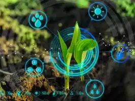 Sürdürülebilirliğin yarattığı belgelendirme ekonomisi: Yeşil algı, ekolojik fayda ve dijital izlenebilirlik arasındaki denge.