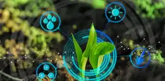 Sürdürülebilirliğin görünmeyen yüzü: Belgelendirme ekonomisi ve yeşil algının gerçekliği Sürdürülebilirliğin yarattığı belgelendirme ekonomisi: Yeşil algı, ekolojik fayda ve dijital izlenebilirlik arasındaki denge.