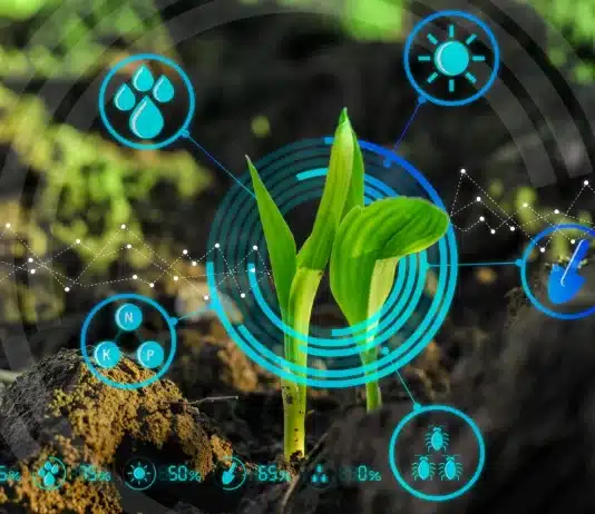 Sürdürülebilirliğin yarattığı belgelendirme ekonomisi: Yeşil algı, ekolojik fayda ve dijital izlenebilirlik arasındaki denge.