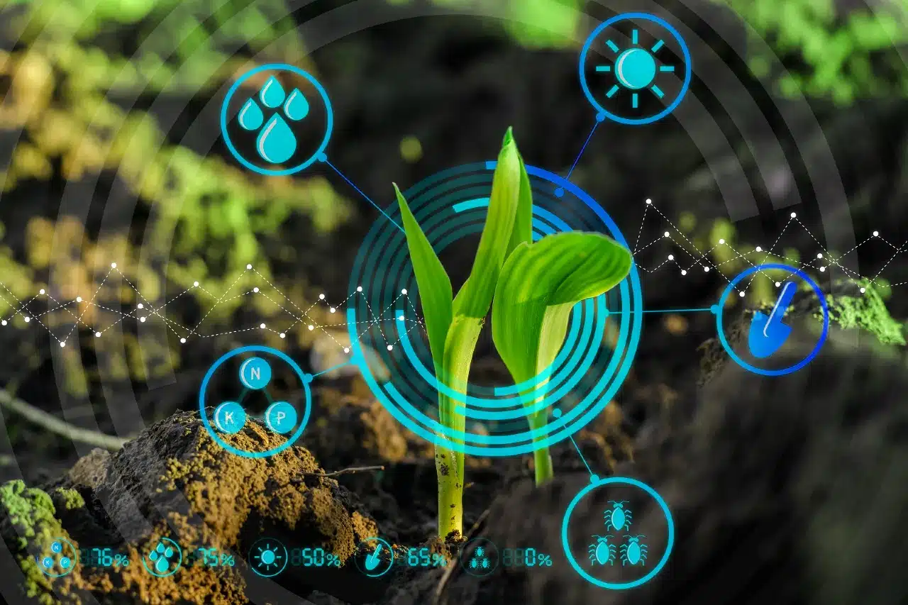 Sürdürülebilirliğin yarattığı belgelendirme ekonomisi: Yeşil algı, ekolojik fayda ve dijital izlenebilirlik arasındaki denge.