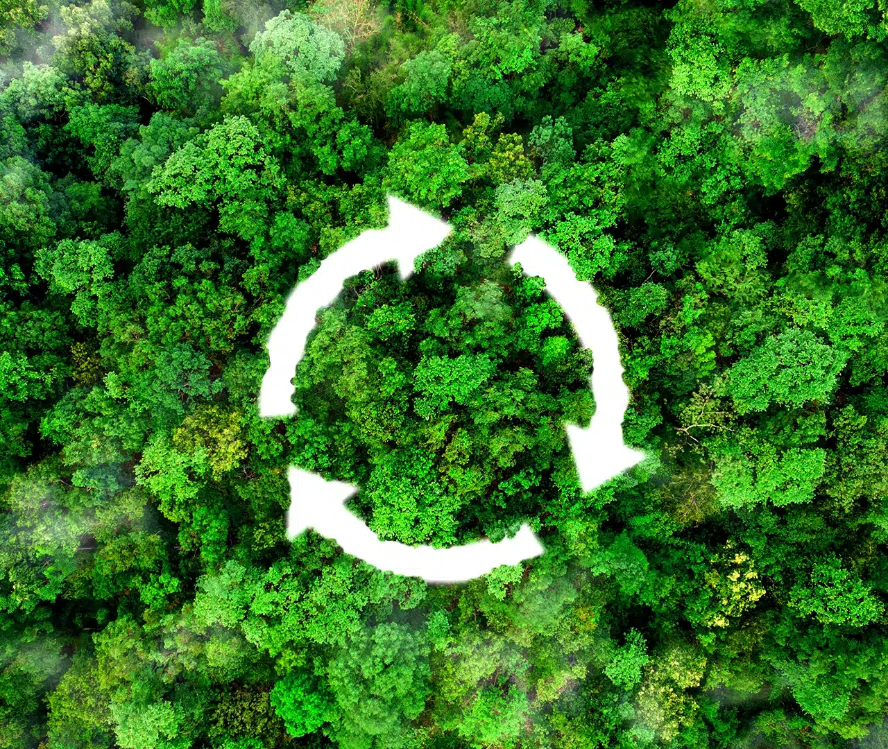 Sürdürülebilirlik için ISO 14001 ve EPD sertifikaları: Yeşil imaj ve karbon ayak izi takibinde blok zinciri ve şeffaflık.