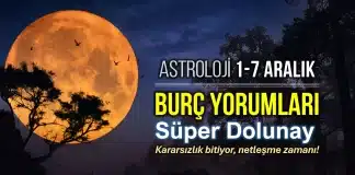 1 - 7 Aralık 2025 haftalık burç yorumları: İkizler Dolunayı, Merkür açıları ve astroloji etkileri.