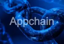 Uygulamaya özel blok zinciri (Appchain) nedir: Layer 1 ile farkı, modülerlik ve Polkadot Parachain'leri üzerine bir konsept.
