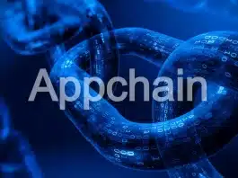 Uygulamaya özel blok zinciri (Appchain) nedir: Layer 1 ile farkı, modülerlik ve Polkadot Parachain'leri üzerine bir konsept.