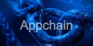 Uygulamaya özel blok zinciri (Appchain) nedir: Layer 1 ile farkı, modülerlik ve Polkadot Parachain'leri üzerine bir konsept.