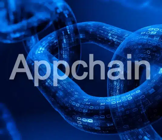 Uygulamaya özel blok zinciri (Appchain) nedir: Layer 1 ile farkı, modülerlik ve Polkadot Parachain'leri üzerine bir konsept.