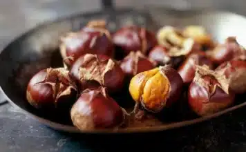 Kestane pişirme rehberi: Neden tuzlu suda bekletilir, nasıl kolay soyulur? Kestane pişirme rehberi: Kestane nasıl soyulur, kestane tuzlu suda bekletme yöntemi ve en lezzetli kestaneli tarifler.