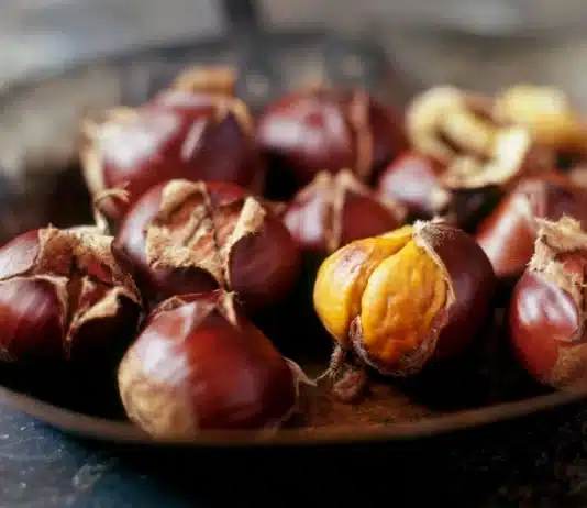 Kestane pişirme rehberi: Kestane nasıl soyulur, kestane tuzlu suda bekletme yöntemi ve en lezzetli kestaneli tarifler.
