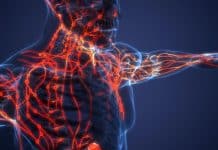 Lenfoma belirtileri ve lenf kanseri tedavisi: Lenf bezlerinde büyüme, gece terlemeleri ve kilo kaybı hakkında bilgiler.