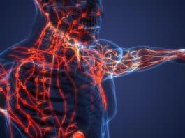 Lenfoma belirtileri ve tedavisi: Lenf bezlerinde büyüme neden olur? Lenfoma belirtileri ve lenf kanseri tedavisi: Lenf bezlerinde büyüme, gece terlemeleri ve kilo kaybı hakkında bilgiler.