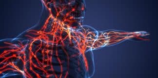 Lenfoma belirtileri ve lenf kanseri tedavisi: Lenf bezlerinde büyüme, gece terlemeleri ve kilo kaybı hakkında bilgiler.