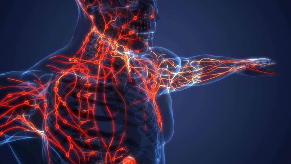 Lenfoma belirtileri ve lenf kanseri tedavisi: Lenf bezlerinde büyüme, gece terlemeleri ve kilo kaybı hakkında bilgiler.