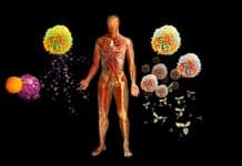 Salgınlar artıyor uyarısı: Mikrobiyota, bağışıklık sistemi ve bağırsak sağlığı arasındaki ilişkiyi açıklayan görsel.