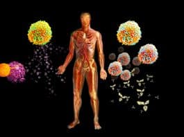 Mikrobiyota ve bağışıklık sistemi ilişkisi: Salgınlara karşı kalkan! Salgınlar artıyor uyarısı: Mikrobiyota, bağışıklık sistemi ve bağırsak sağlığı arasındaki ilişkiyi açıklayan görsel.