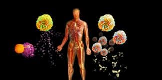 Salgınlar artıyor uyarısı: Mikrobiyota, bağışıklık sistemi ve bağırsak sağlığı arasındaki ilişkiyi açıklayan görsel.