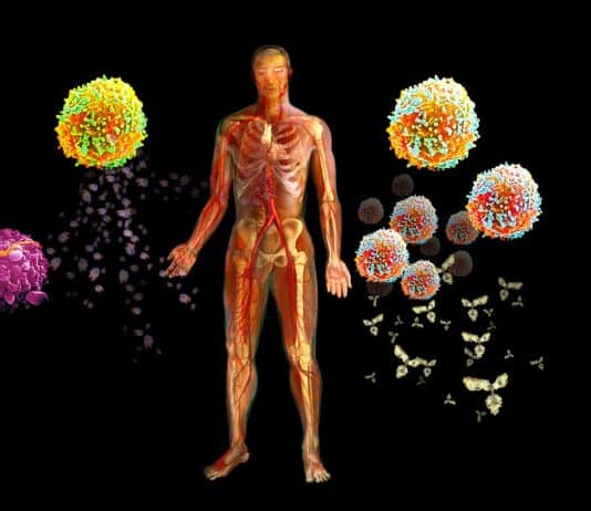 Salgınlar artıyor uyarısı: Mikrobiyota, bağışıklık sistemi ve bağırsak sağlığı arasındaki ilişkiyi açıklayan görsel.