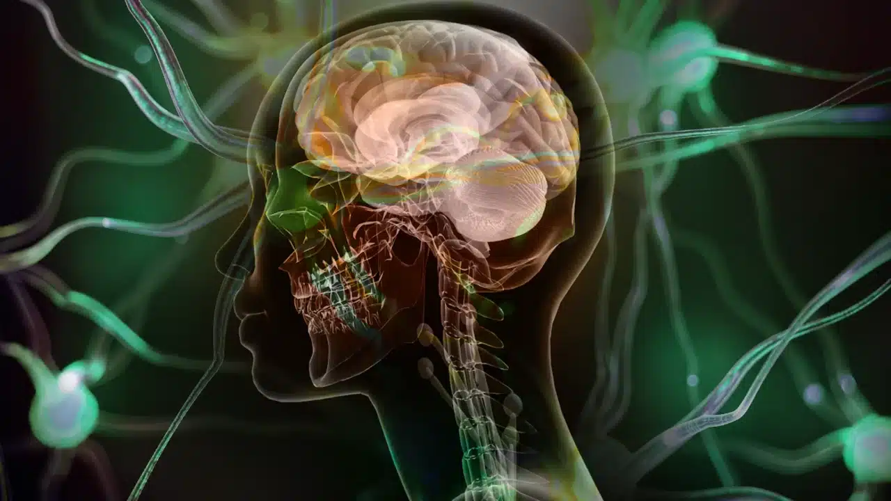 Kas seğirmesi nedenleri: Stres, magnezyum eksikliği ve MS, ALS gibi nörolojik hastalıklar üzerine bir konsept.