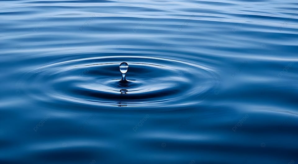 Kuantum ve Tasavvuf aynasında "Birlik"