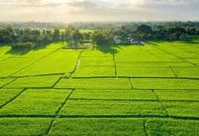 Arsa alımı için 12 tavsiye: Tapu durumu, imar durumu ve zemin etüdü kontrolü ile toprak yatırımı.