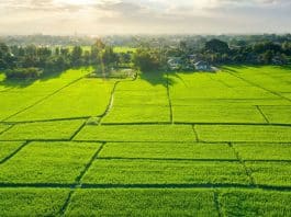 Arsa alımı için 12 tavsiye: Tapu durumu, imar durumu ve zemin etüdü kontrolü ile toprak yatırımı.