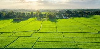 Arsa alımı için 12 tavsiye: Tapu durumu, imar durumu ve zemin etüdü kontrolü ile toprak yatırımı.