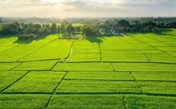 Arsa alımı için 12 tavsiye: Tapu durumu, imar durumu ve zemin etüdü kontrolü ile toprak yatırımı.