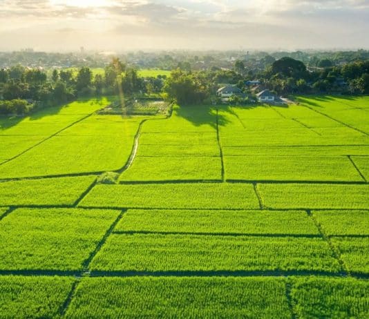 Arsa alımı için 12 tavsiye: Tapu durumu, imar durumu ve zemin etüdü kontrolü ile toprak yatırımı.