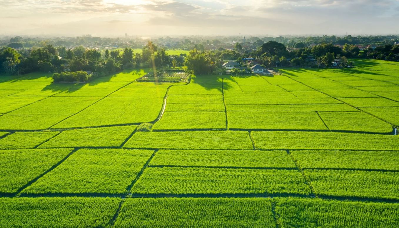 Arsa alımı için 12 tavsiye: Tapu durumu, imar durumu ve zemin etüdü kontrolü ile toprak yatırımı.