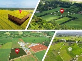 Tarla mı, arsa mı? Toprak yatırımı yaparken imar durumu, altyapı projeleri ve arsa yatırımı arasındaki farklar.