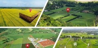 Tarla mı, arsa mı? Toprak yatırımı yaparken imar durumu, altyapı projeleri ve arsa yatırımı arasındaki farklar.