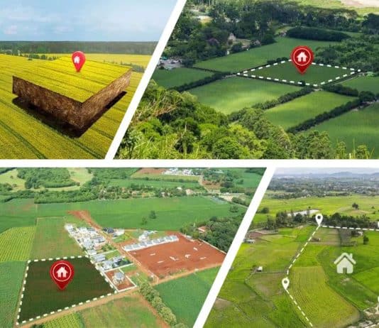 Tarla mı, arsa mı? Toprak yatırımı yaparken imar durumu, altyapı projeleri ve arsa yatırımı arasındaki farklar.