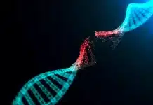 DNA hasarını onarabilen ilaç geliştirildi: TY1 ve doku onarımı nedir? DNA hasarını onarabilen ilaç TY1: Doku onarımı ve RNA molekülü teknolojisi ile geliştirilen yeni tedavi yöntemi.